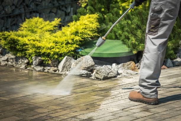 Best Boat and Dock Cleaning  in Jersey Shore, PA